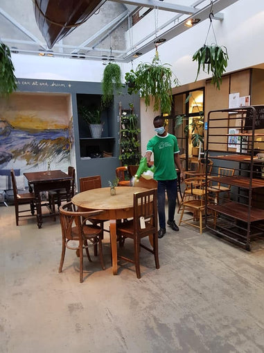 Gallery image 4